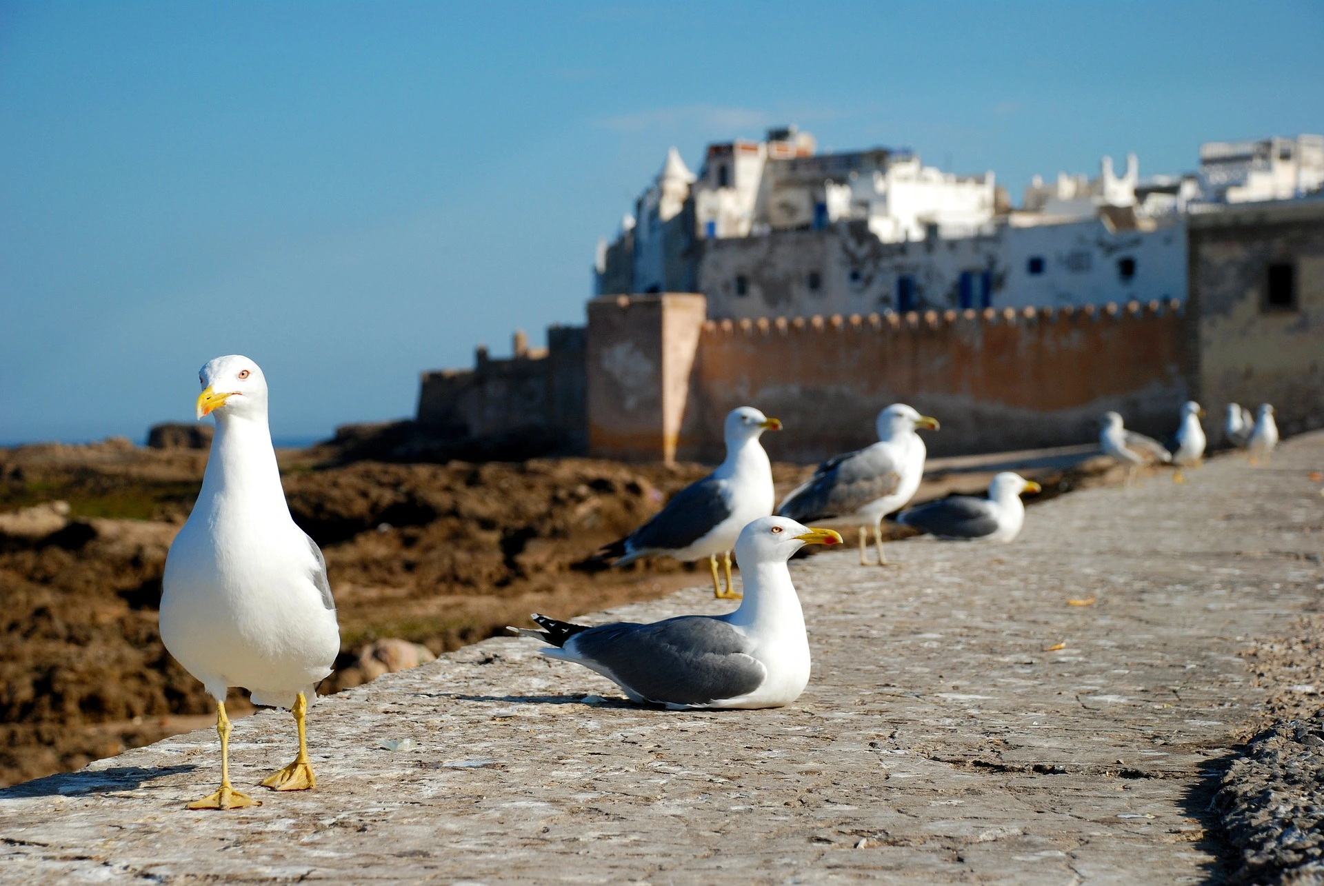 Essaouira