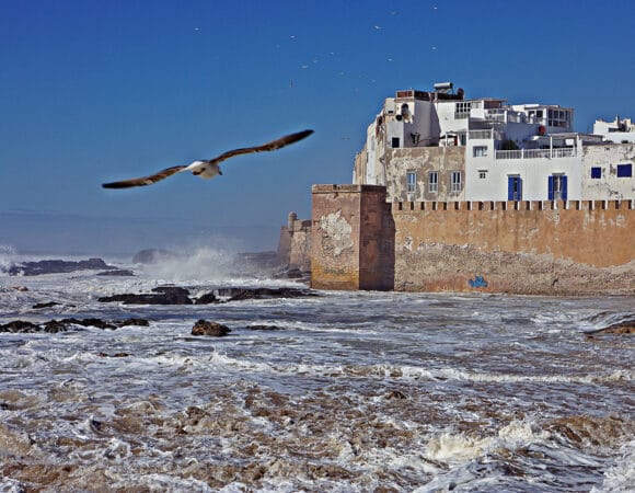 Day Trip from Marrakech to Essaouira