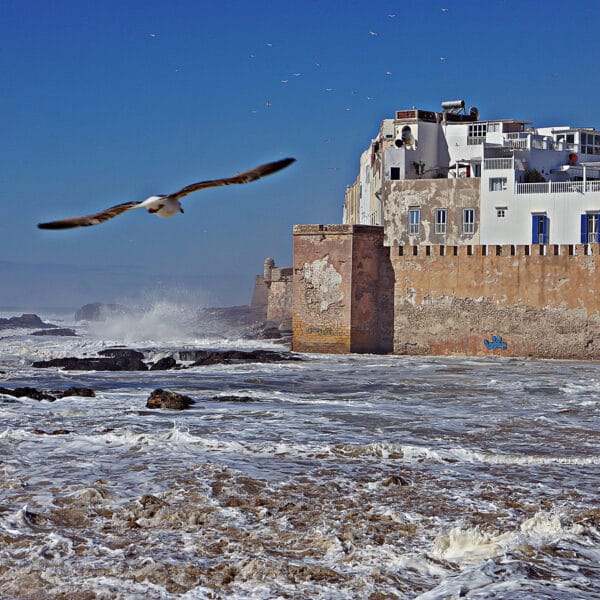 Day Trip from Marrakech to Essaouira ,Morocco tours , Morocco Tours Gates