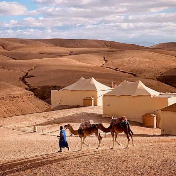 Morocco tours , Morocco Tours Gates