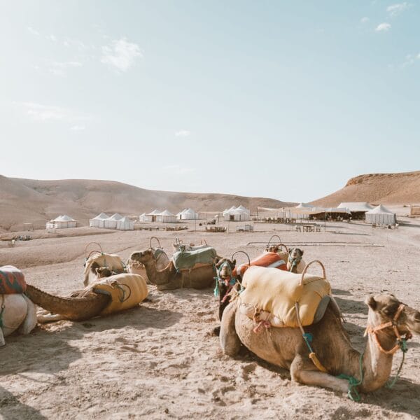 Agafay Desert Tours ,Morocco tours , Morocco Tours Gates