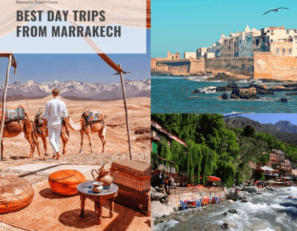 Best Day Trips from Marrakech: Agafay Desert ,Atlas mountains and Essaouira coast tours