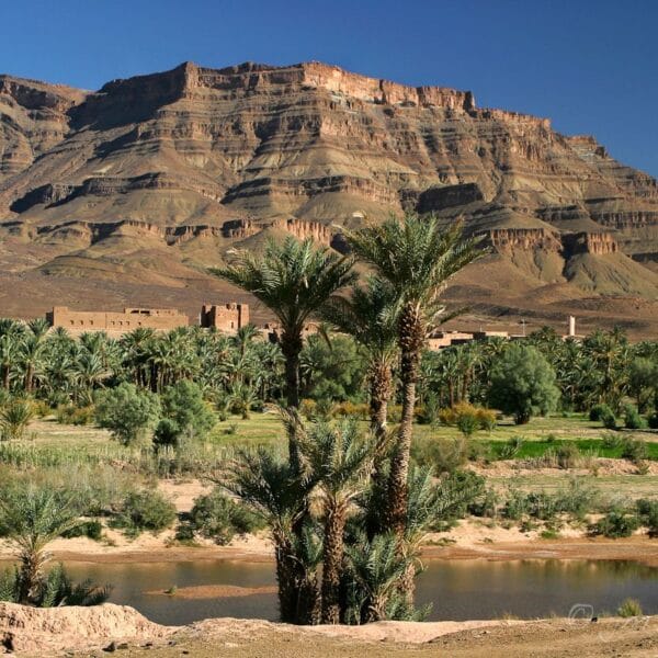 Morocco tours , Morocco Tours Gates