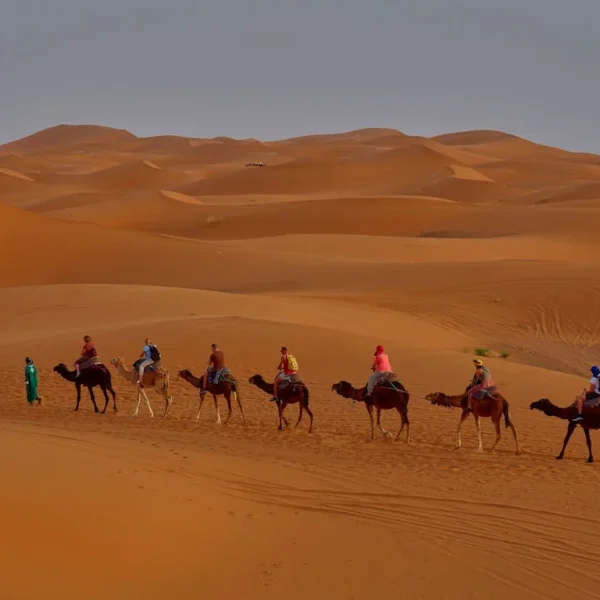 Tailor-made Tours by Morocco tours gates