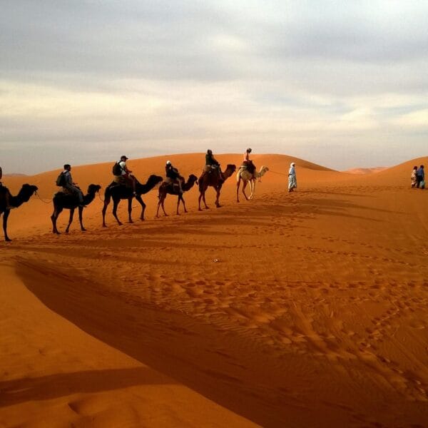 morocco private tours by morocco tours gates