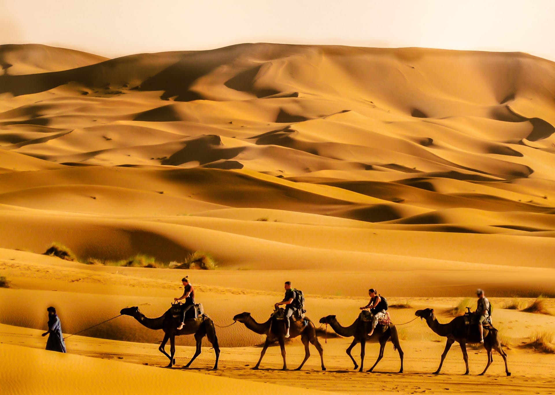 Tour from Marrakech to Fes via the Sahara Desert