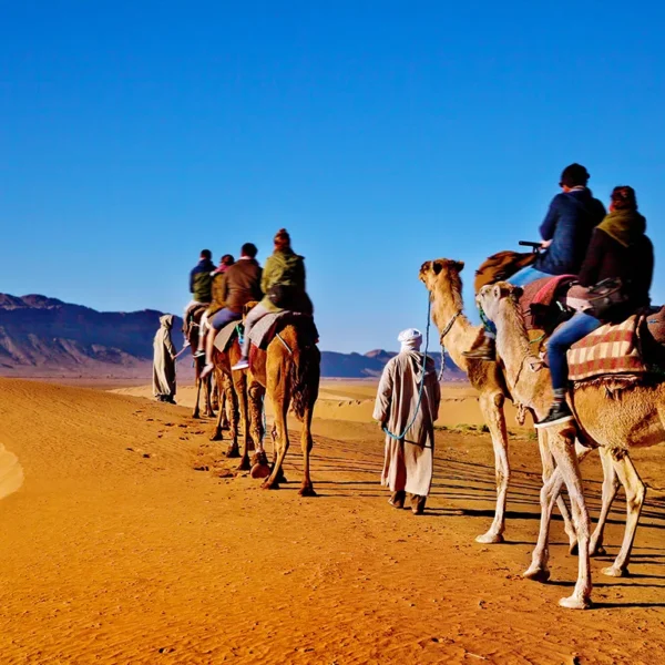 Morocco tours , Morocco Tours Gates