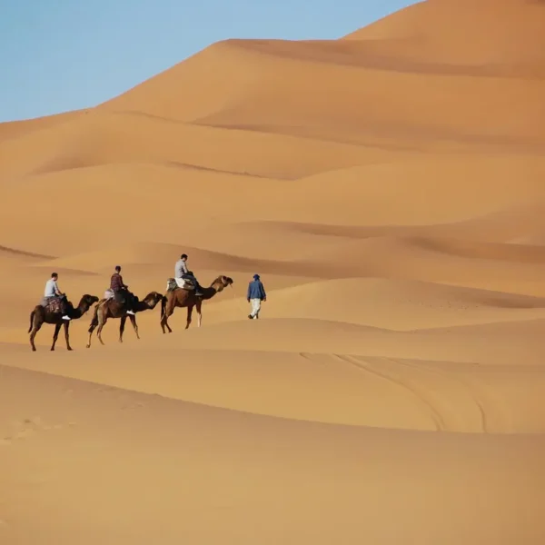 2 Days Tour from Marrakech to Merzouga Desert