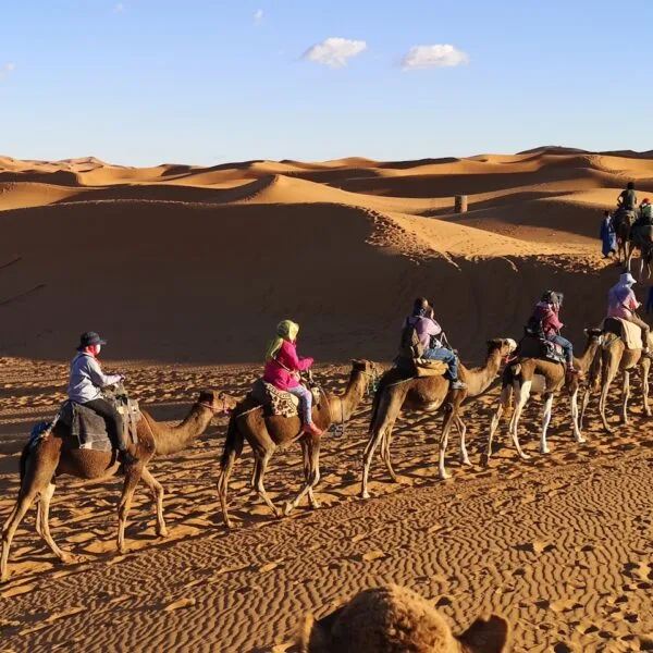 Camel trekking merzouga desert tour