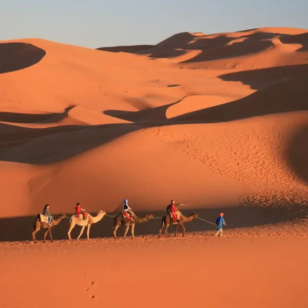 Desert Safari Morocco Camel Ride & Overnight in Desert