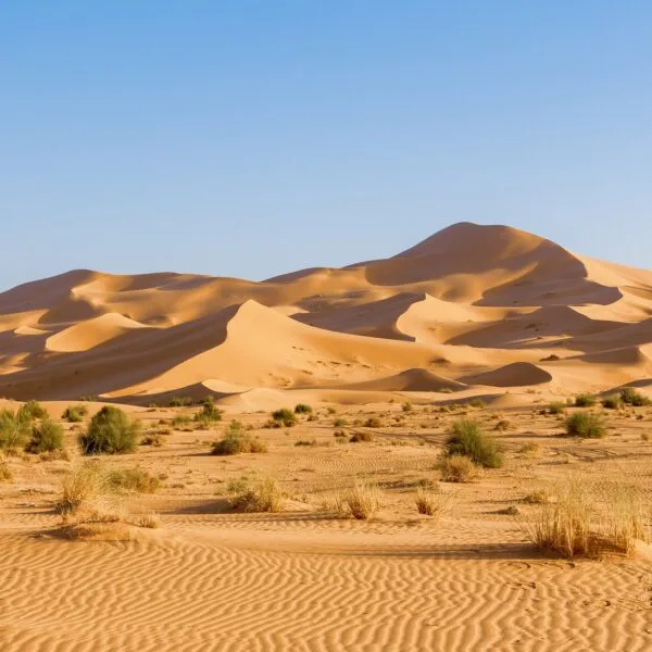 2 Days Tour from Marrakech to Merzouga Desert