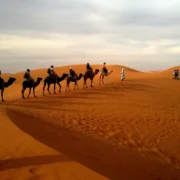 3 Day Camel Trek Morocco